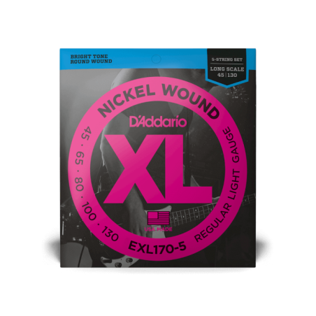 EXL170-5, 45-130 Regular Light 5-String, Long Scale, XL Nickel Bass Strings
